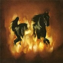 The Besnard Lakes are the dark horse