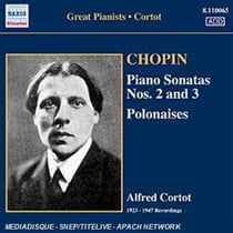 Sonates pour piano n°2 & 3 - Polonaises
