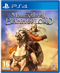 Mount & Blade II : Bannerlord