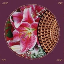 Coles Corner - édition colorée