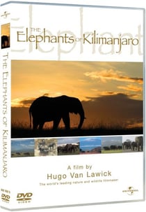 Les Éléphants du Kilimanjaro