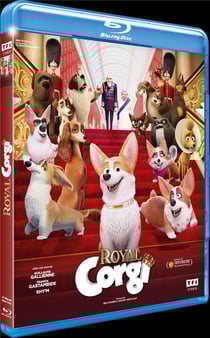 Royal Corgi