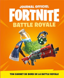 Mon journal fortnite