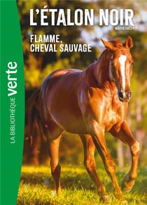 L'étalon noir Tome 10 : Flamme cheval sauvage
