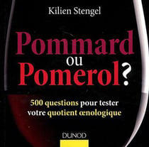 Pommard ou pomerol ? 500 questions pour tester votre quotient oenologique