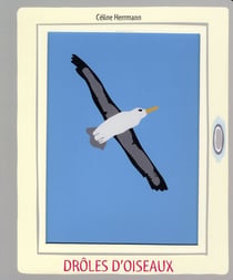 droles d oiseaux