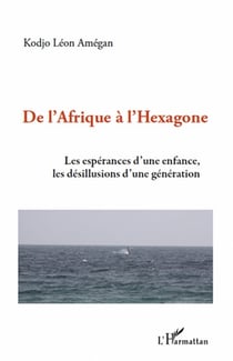 De l'Afrique à l'Hexagone - les espérances d'une enfance, les désillusions d'une génération
