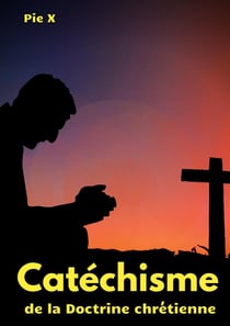 Catéchisme de la doctrine chrétienne : catechisme de saint Pie X