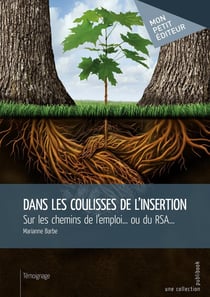 Dans les coulisses de l'insertion - Tome 1