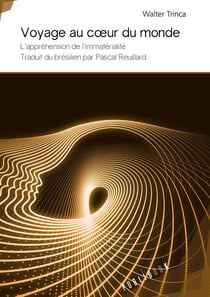 Voyage au coeur du monde - l'appréhension de l'immatérialité