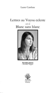 Lettres au voyou celeste suivi de blanc sans blanc