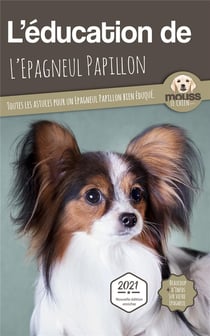 L'éducation de l'Epagneul Papillon : toutes les astuces pour un Epagneul Papillon bien éduqué