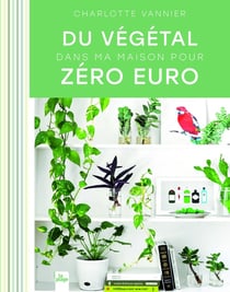 Du végétal dans ma maison pour zéro euro
