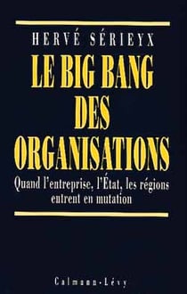 Le big bang des organisations