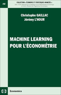 Machine Learning pour l'économétrie