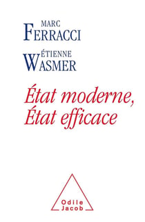 Etat moderne, Etat efficace