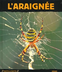 L'araignee