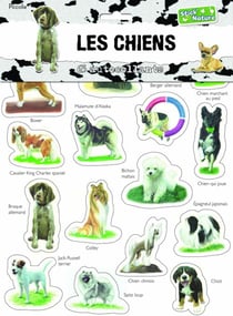 Les chiens - 65 autocollants