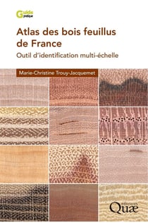 Atlas des bois feuillus de France : Outil d'identification multi-échelle