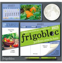 Frigobloc Mensuel 2023 Déco vert (de janv. à déc. 2023) - édition