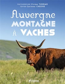 Auvergne montagne à vaches