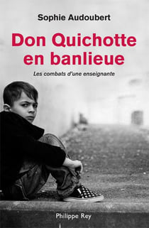 Don Quichotte en banlieue - les combats d'une jeune enseignante
