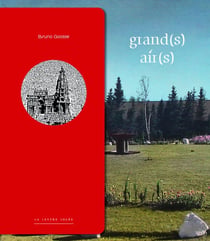 Grand(s) air(s)