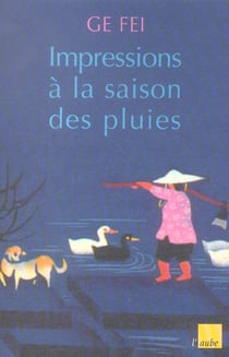 Impressions a la saison des pluies