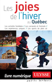 Les joies de l'hiver au québec