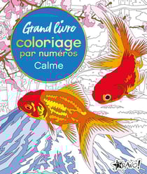 Grand livre coloriage par numéros - Calme