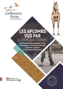 Les aplombs