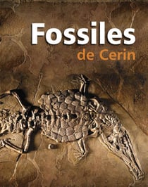 FOSSILES DE CERIN
