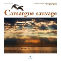 Camargue sauvage