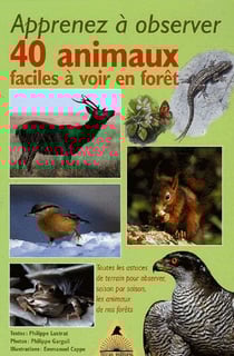 Apprenez a observer 40 animaux faciles a voir en foret