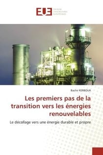 Les premiers pas de la transition vers les énergies renouvelables : Le décollage vers une énergie durable et propre