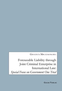 Foreseeable Liability through Joint Criminal Enterprise in International Law : Special Focus on Government One Trial
