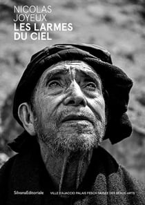 Nicolas Joyeux : Les larmes du ciel