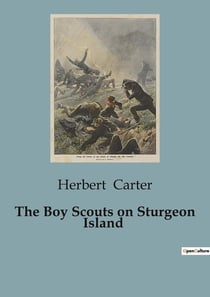 The Boy Scouts on Sturgeon Island : Adventures of the Silver Fox Patrol on Lake Superior