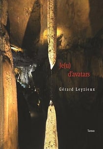 Je(u) d'avartars