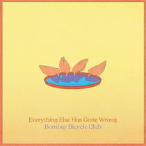 Everything else has gone wrong