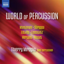 The world of percussion