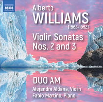Sonates pour violon n° 2 et n° 3