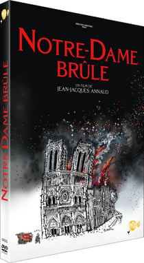 Notre-Dame brûle