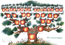 Arbre généa'5