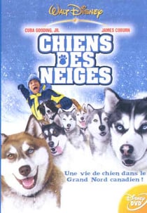 Chiens des neiges