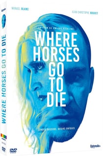 Where Horses Go to Die