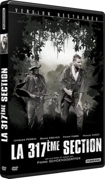 La 317ème section