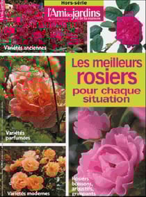 L'ami des jardins - les meilleurs rosiers pour chaque situation