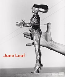 June Leaf : Shooting from the Heart