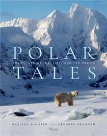 Polar tales artic